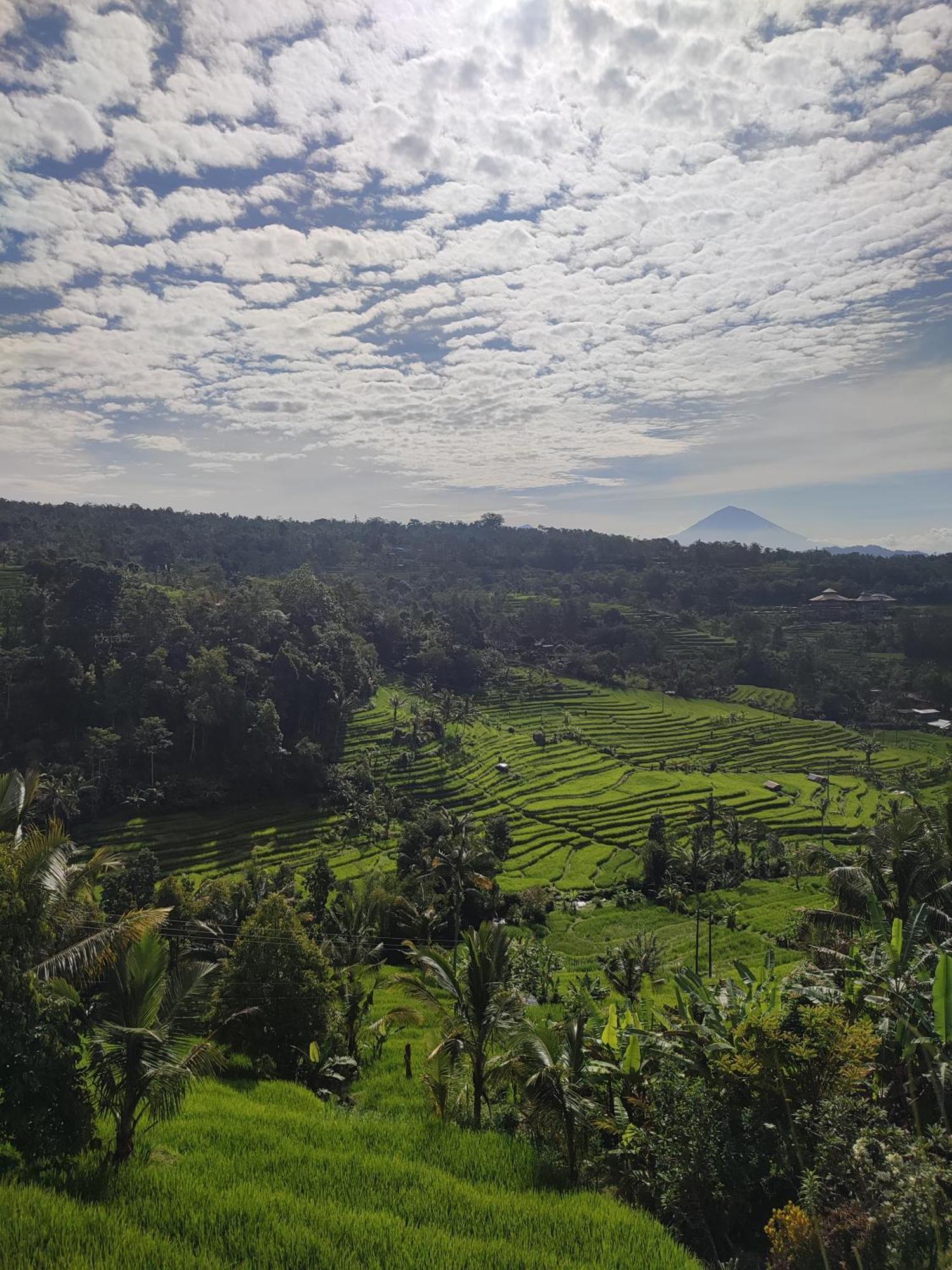 Gunza Bed And Breakfast Jatiluwih Luaran gambar